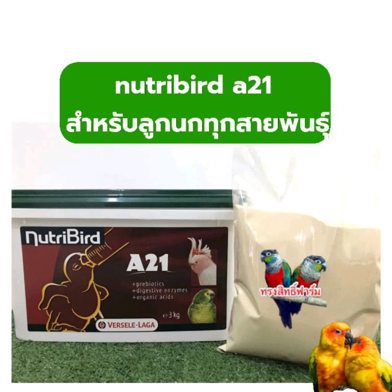 อาหารลูกนก nutribird A21 สำหรับลูกนกทุกสายพันธุ์ ฝาเขียว รูปที่ 3