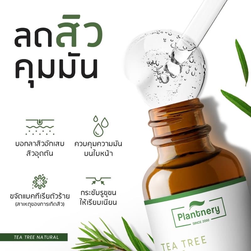 Plantnery Intense Serum 30 ml. เซรั่มเข้มข้นขนาด 30 มล. รูปที่ 2