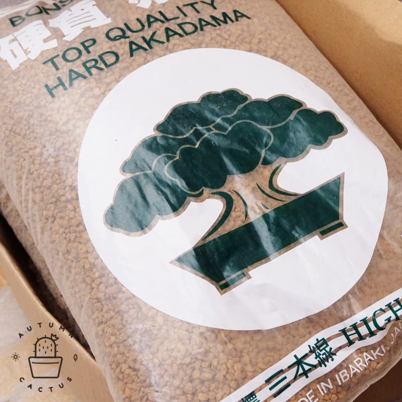 อะคาดามะ ดินญี่ปุ่น AKADAMA SOIL ใช้โรยหน้า กระบองเพชร ไม้อวบน้ำ บอนไซ 1-3mm 3-6mm 500g เกรดพรีเมี่ยม 3แถบ รูปที่ 6