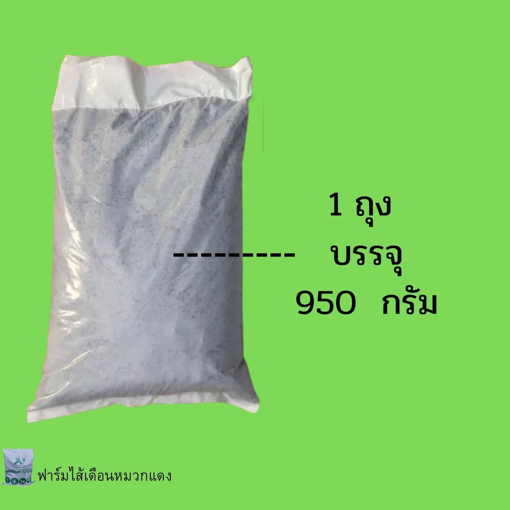 เบดดิ้งเลี้ยงไส้เดือน ปุ๋ยหมัก ขี้วัวนมหมัก ปุ๋ยคอกหมัก ปุ๋ยขี้วัวนม ที่อยู่ไส้เดือน รูปที่ 8