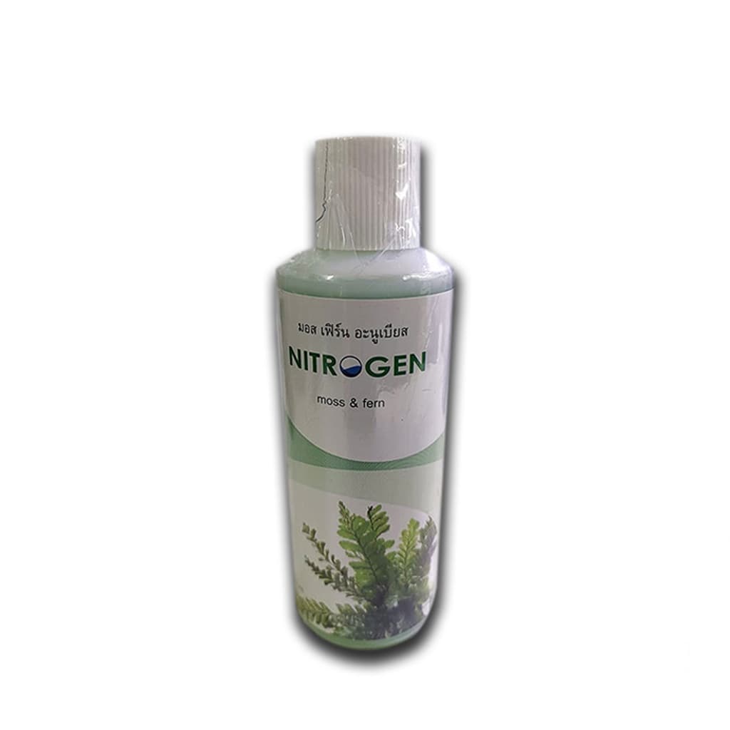 CYPERUS HELFERI - ไม้หลังตู้ เลี้ยงง่าย ต้นไม้น้ำตา ต้นไม้พร้อมปลูก ***กรุณาอ่านรายละเอียดก่อนสั่งซื้อ*** รูปที่ 4