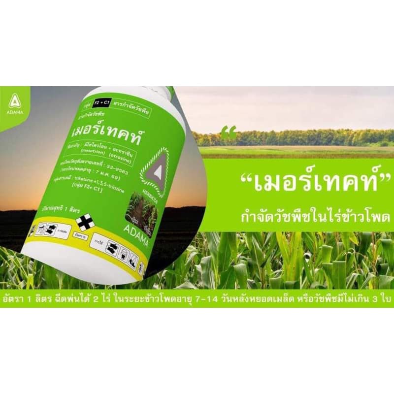 เมอร์เทค / อัลโซซีน 1ลิตร ยาคุมหญ้า - ยาฆ่าหญ้า ใน ข้าวโพด อ้อย คุมฆ่า คุมนาน คาลาริส รูปที่ 4