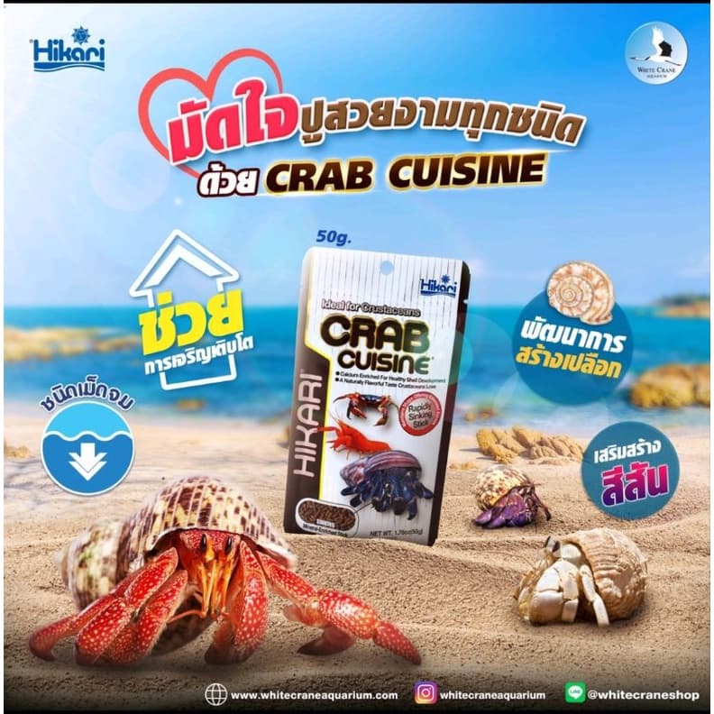 Hikari Crab Cusine 50 g. อาหารสำหรับ ปูเสฉวน,ปูสวยงาม,กุ้งสวยงาม รูปที่ 3