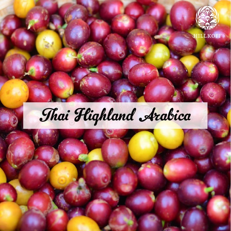 Hillkoff : เมล็ดกาแฟคั่ว อาราบิก้า คั่วเข้ม ฮิลล์คอฟฟ์ Arabica 100% ขนาด 500 g 8 ถุง กาแฟ อราบิก้า เมล็ดกาแฟ รูปที่ 6