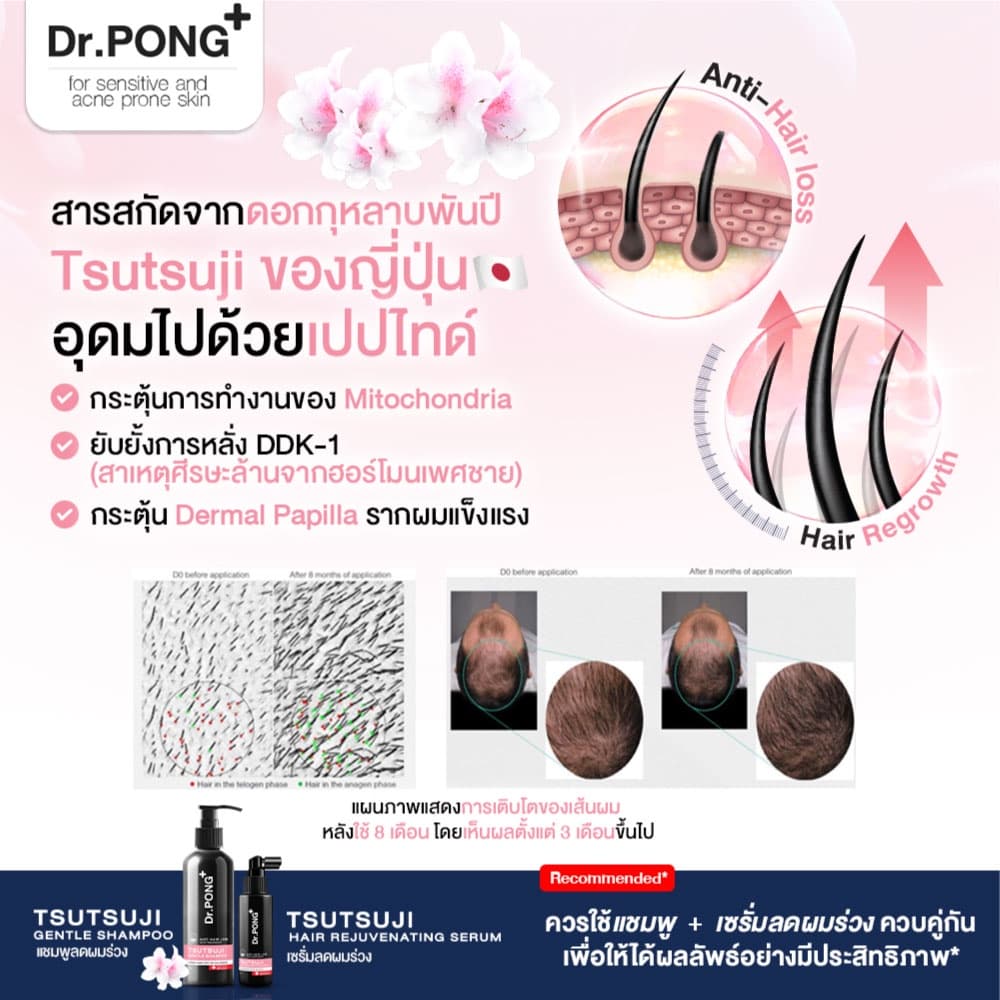 เซรั่มลดผมร่วง Dr.PONG TSUTSUJI HAIR REJUVENATING SERUM - anti-hairloss serum เซรั่มบำรุงผม ลดผมร่วง รูปที่ 3