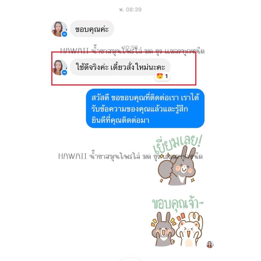 สเปรย์กำจัดมด 1 แกลอน ปริมาณ 1,000 ml กำจัดแมลง สเปยร์ไล่มด สมุนไพรกำจัดมด กำจัดยุง กำจัดแมลง กำจัดแมลงสาบ แบนด์ Hawaii รูปที่ 5