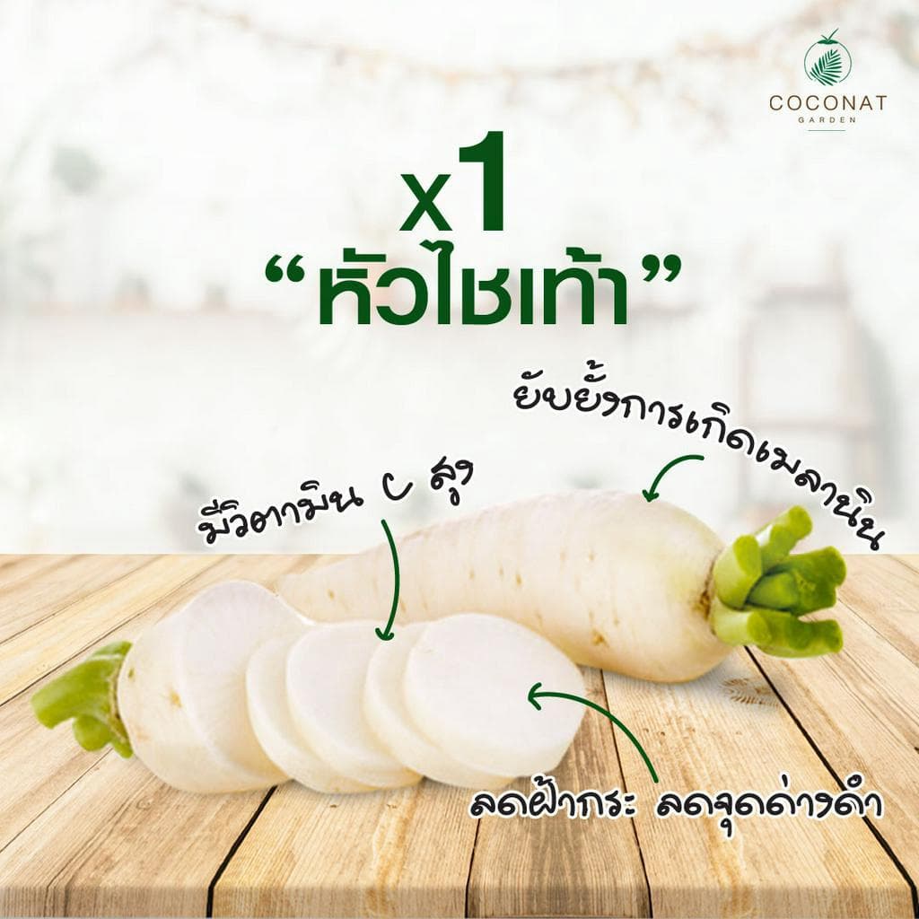ครีมทาฝ้าจากสารสกัดหัวไชเท้ามีผลการวิจัยว่า ช่วยลดฝ้า กระ รอยสิวได้ดี ร่วมกับน้ำมันมะพร้าววิตามิน E รูปที่ 2