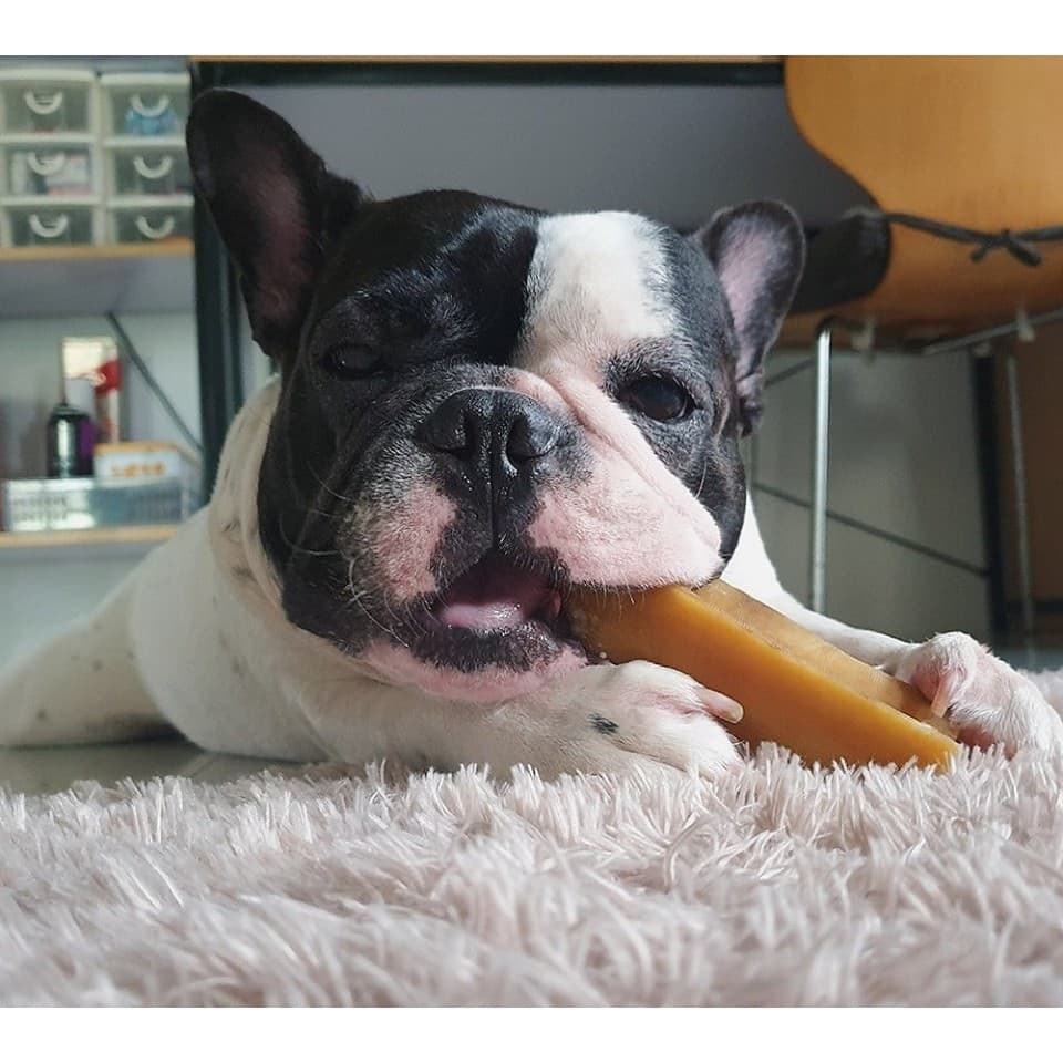 ชีสแท่งนมจามรี ไซส์ M+ /Himalayan Dog Chew Large Size รูปที่ 6