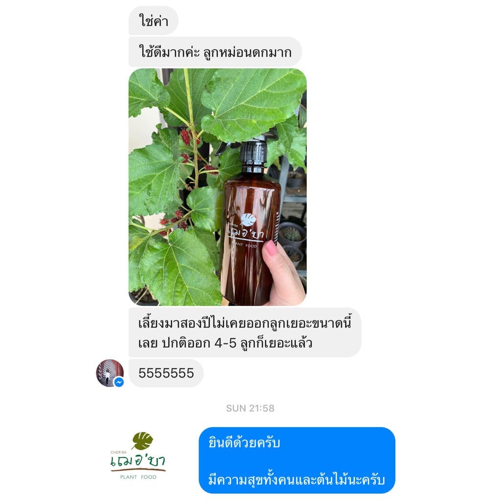 เฌอบา อาหารเสริมต้นไม้ บำรุงกิ่ง ก้าน ใบ แบบขวดสเปรย์ สเปรย์บำรุงใบ สเปรย์บำรุงต้นไม้ อาหารพืช ต้นไม้ รูปที่ 8