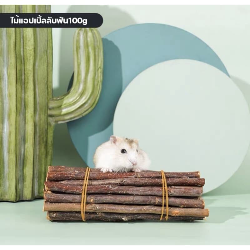 Hamu เซ็ตลับฟัน ไม้ลับฟันสัตว์เลี้ยง ไม้แอปเปิ้ล ไผ่หวาน ลูกสน แก้ปัญหาฟันยาว คลายเครียด แฮมสเตอร์ รูปที่ 2