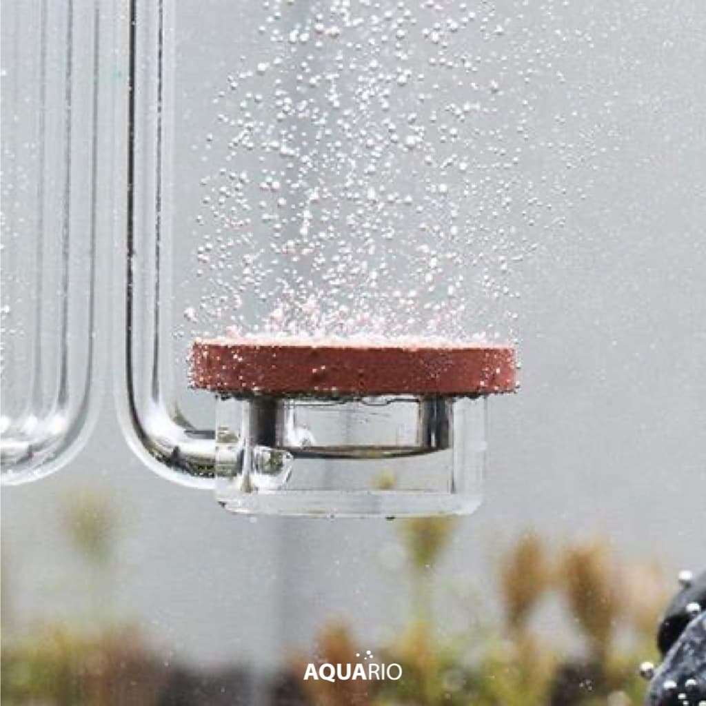 Aquario Neo CO2 Diffuser Normal Special หัวดิฟ CO2 รุ่นดีไซน์แบบแบน ใช้พื้นที่น้อย ไม่เกะพื้นที่ในตู้ รูปที่ 8