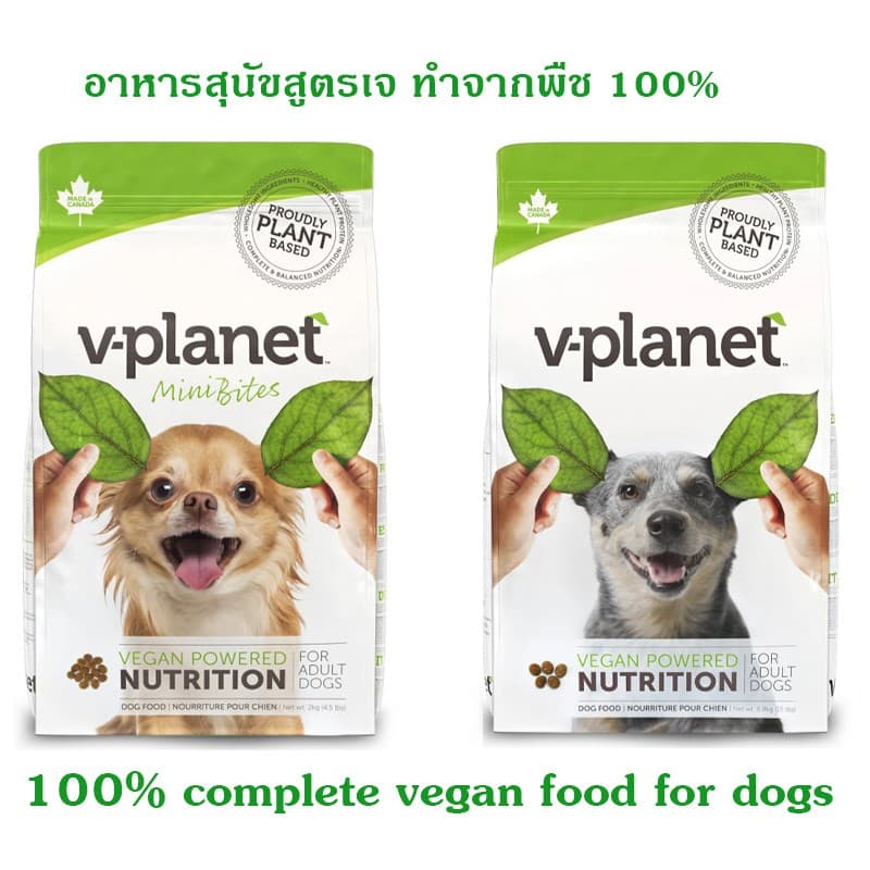 V-Planet อาหารสุนัขเม็ด สูตรเจ วีแกน 100% ทำจากพืช Plant-Based โปรตีนจากพืชไม่มีเนื้อสัตว์ 6.8kg รูปที่ 2