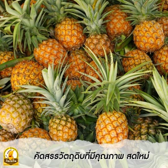 กินเพลินรวม แกนสับปะรดอบแห้ง แกนสับปะรดอบ แกนสัปปะรบอบ รูปที่ 4