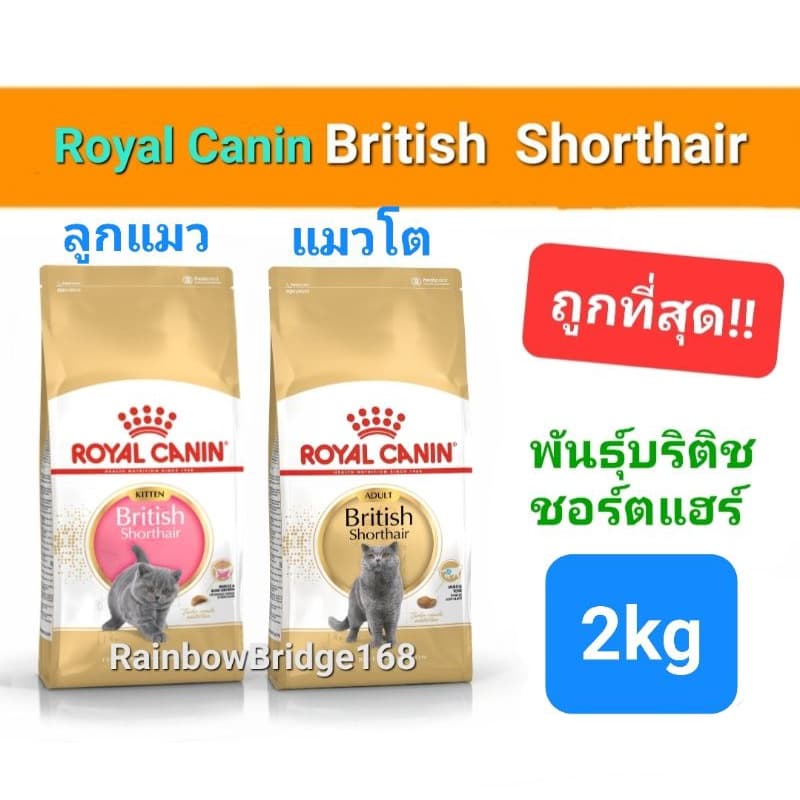 Royal Canin British Shorthair Kitten 2kg โรยัลคานิน ลูกแมวบริติช / British Shorthair Adult 2kg แมวโต ถุง 2 กก. รูปที่ 1
