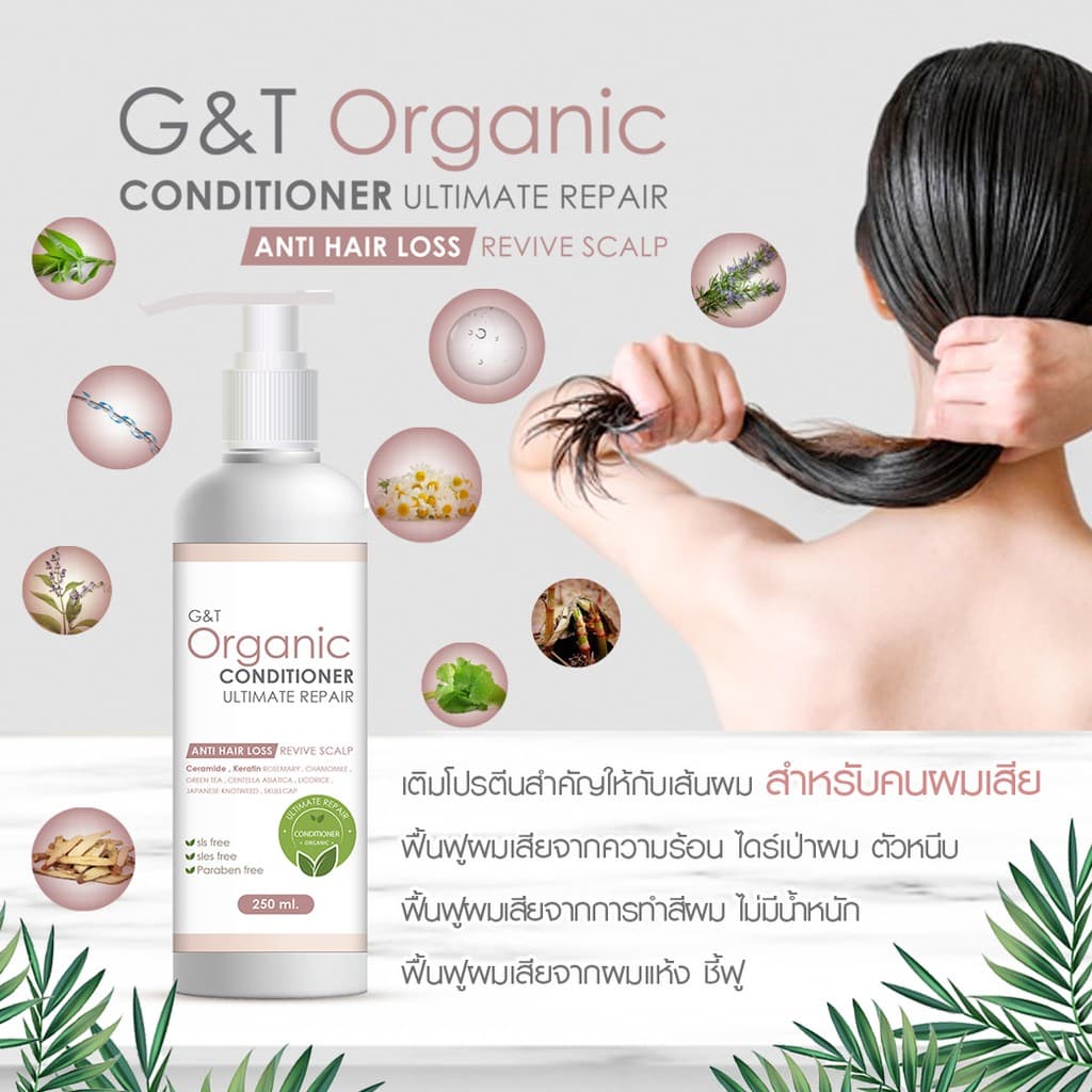 ลดผมร่วง ครีมนวดผม เซราไมด์ +เคราติน สูตรออร์แกนิค G&T Organic Ultimate Repair ฟื้นฟูหนังศีรษะ 250 ml รูปที่ 7