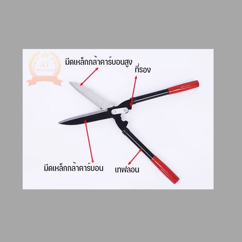 กรรไกรตัดหญ้า กรรไกรตัดแต่งกิ่ง เหล็กกล้าคุณภาพสูง คมมาก แข็งแรง รูปที่ 6