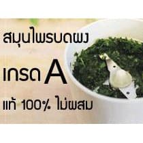 ฟ้าทะลายโจรผง 100% บรรจุซองฟรอย กันความชื้น/ ฟ้าทะลายโจน ฟ้าทะลายโจร ฟ้าทลายโจร ผง รูปที่ 9