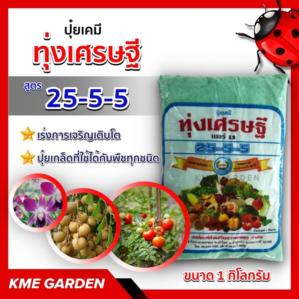 ปุ๋ยเกล็ด ทุ่งเศรษฐี 25-5-5 ขนาด 1 กิโลกรัม เร่งการเจริญเติบโตของพืชทุกชนิด ปุ๋ยเขียว หรือ ปุ๋ยเย็น ปุ๋ยเคมี รูปที่ 1