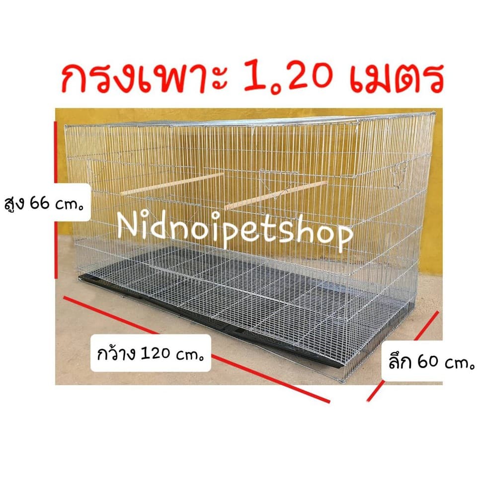 กรงเพาะไซค์บิ๊กเบิ้ม1.20ม.กรงนก กรงเพาะนกซันคอนัวร์ ค็อกคาเทล กรีนชิค แอฟริกันเกรย์ ราคาโรงงาน รูปที่ 1