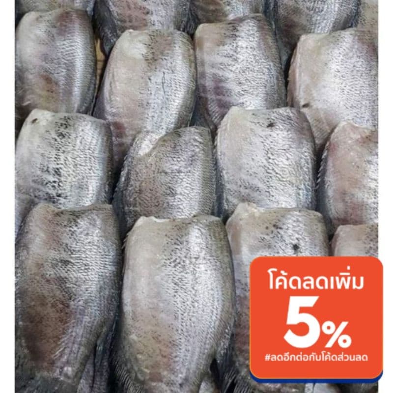 ปลาสลิดแดดเดียว​ 5-6ตัว/กิโล​กรัม รูปที่ 2
