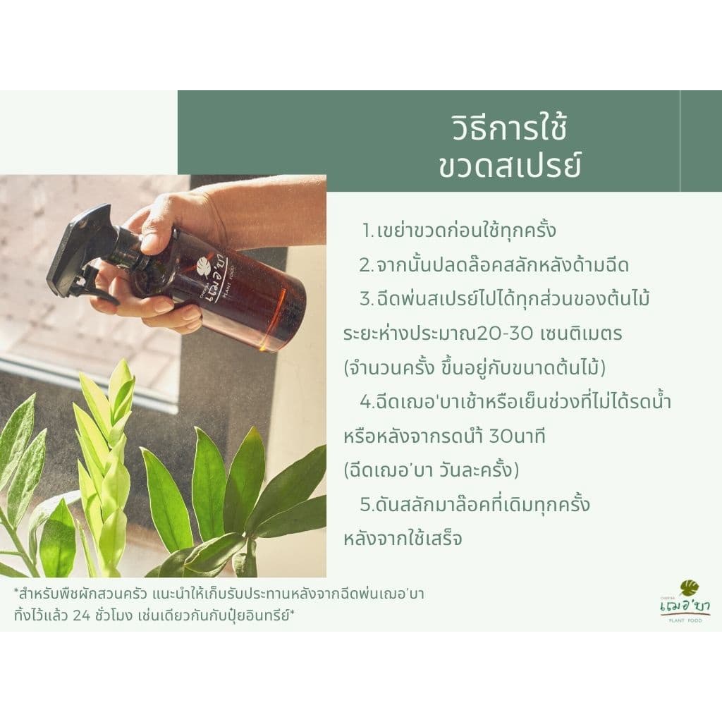 เฌอบา อาหารเสริมต้นไม้ บำรุงกิ่ง ก้าน ใบ แบบขวดสเปรย์ สเปรย์บำรุงใบ สเปรย์บำรุงต้นไม้ อาหารพืช ต้นไม้ รูปที่ 3
