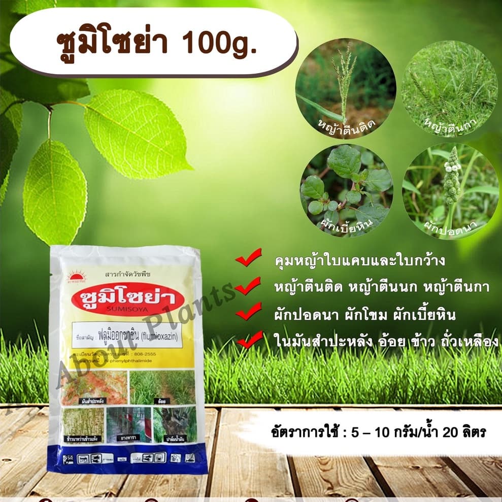 ซูมิโซย่า 100g. ฟลูมิออกซาซิน สารคุมและกำจัดหญ้าใบแคบบกว้างและกก คุมแห้งในมันสำปะหลัง อ้อย ข้าว ถั่วเหลืองallaboutplants รูปที่ 1