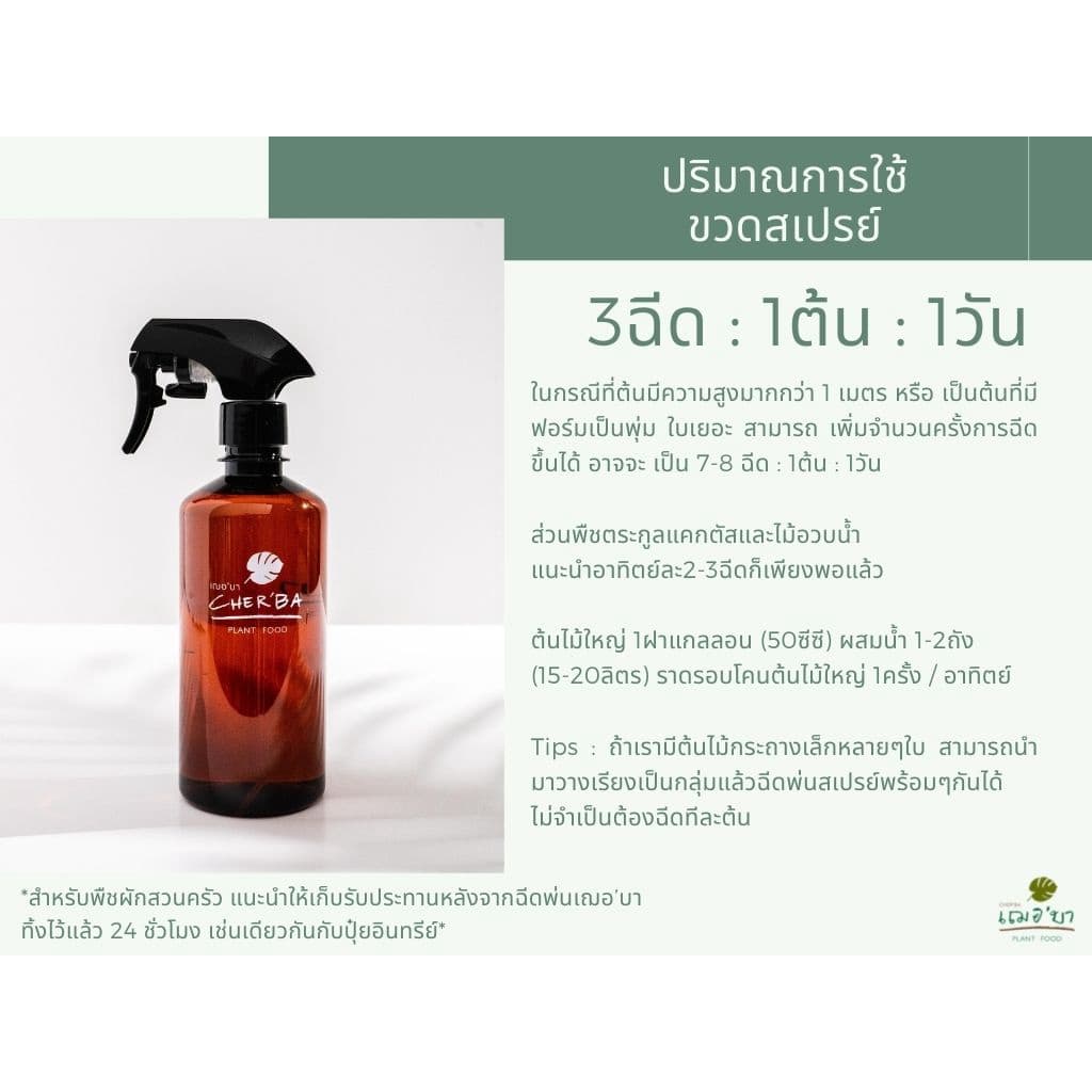 เฌอบา อาหารเสริมต้นไม้ บำรุงกิ่ง ก้าน ใบ แบบขวดสเปรย์ สเปรย์บำรุงใบ สเปรย์บำรุงต้นไม้ อาหารพืช ต้นไม้ รูปที่ 4