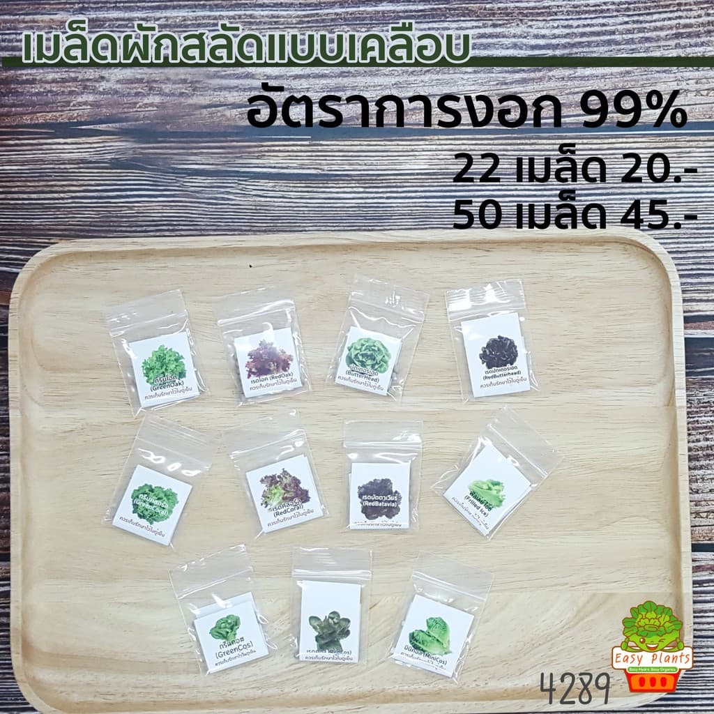 เมล็ดพันธุ์ผักสลัดเคลือบ ปลูกง่าย งอกเร็ว 99% ปลูกในบ้าน ไฮโดรโปนิกส์ ผักปลอดสาร กรีนโอ๊ค ผักคอส รูปที่ 2