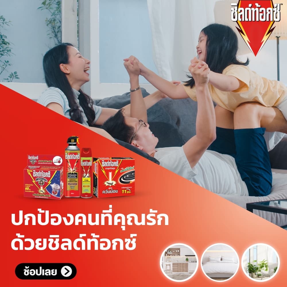 Shieldtox ชิลด์ท้อกซ์ เพาเวอร์การ์ด4 ไร้กลิ่น สเปรย์กำจัดยุง และ แมลงบินขนาดเล็ก ขนาด 600 มล. รูปที่ 6