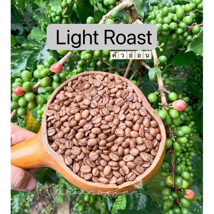 ดอยช้าง เกรดพรีเมียม ดอยช้างวิว เมล็ดกาแฟคั่วบด Arabica % หอม ละมุน รูปที่ 4