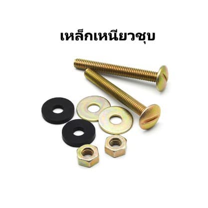 น็อตยึดหม้อน้ำชักโครก เหล็กเหนียวชุบกันสนิม พลาสติกและทองเหลืองแท้ รุ่น NOD-572 รูปที่ 2