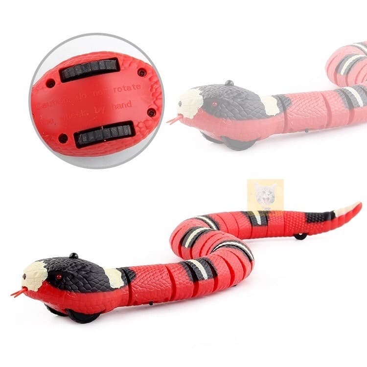 ของเล่นแมว งูเลื้อยอัตโนมัติ งูของเล่น รุ่นชาร์จแบต USB รูปที่ 3