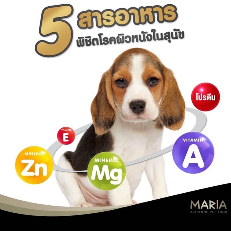 MARIA Premium Dog Pouch มาเรีย อาหารเปียกเกรดพรีเมี่ยม สำหรับสุนัขที่คุณรัก บรรจุ 70g รูปที่ 4