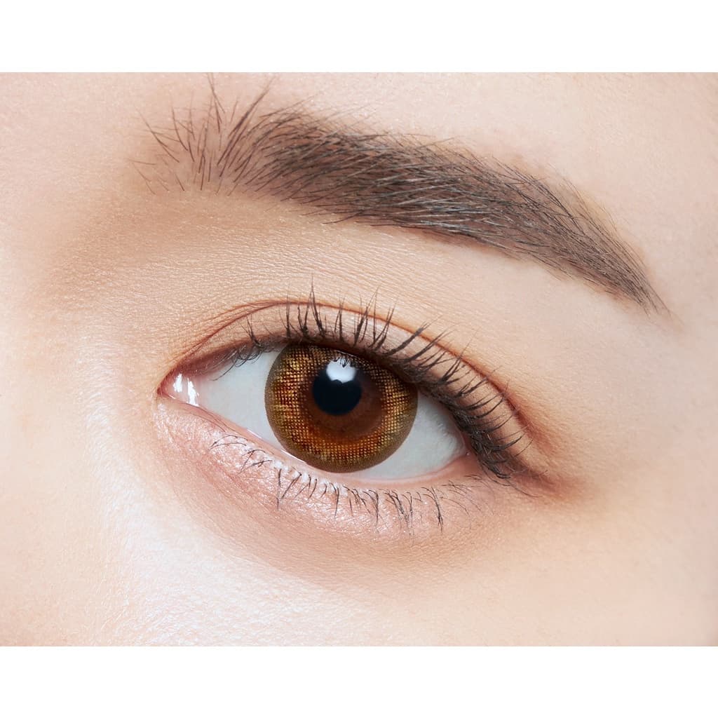 FreshLook ONE-DAY Illuminate สี Chic Caramel รูปที่ 2