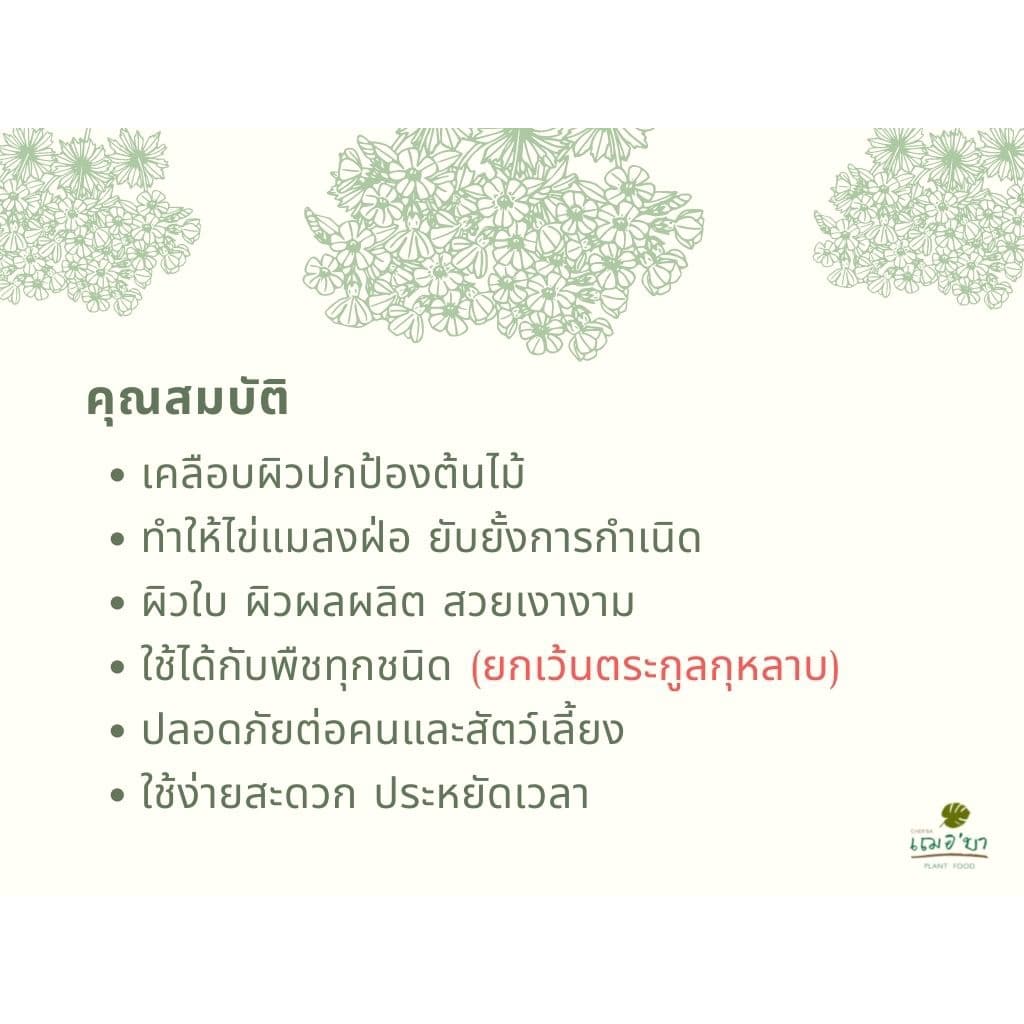 เฌอบา อาหารเสริมต้นไม้ เคลือบผิวใบ Wax ด้วยวิตามิน E สเปรย์บำรุงใบ สเปรย์บำรุงต้นไม้ อาหารพืช 450 ML รูปที่ 6
