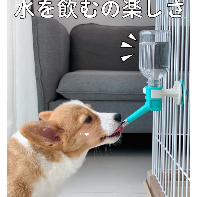 Boqi factory Pet Water Feeder ที่ให้น้ำแบบแขวนกรง เพียงหมุนขวดน้ำเข้าเกลียว สำหรับสุนัขและแมว GJ-02 รูปที่ 7