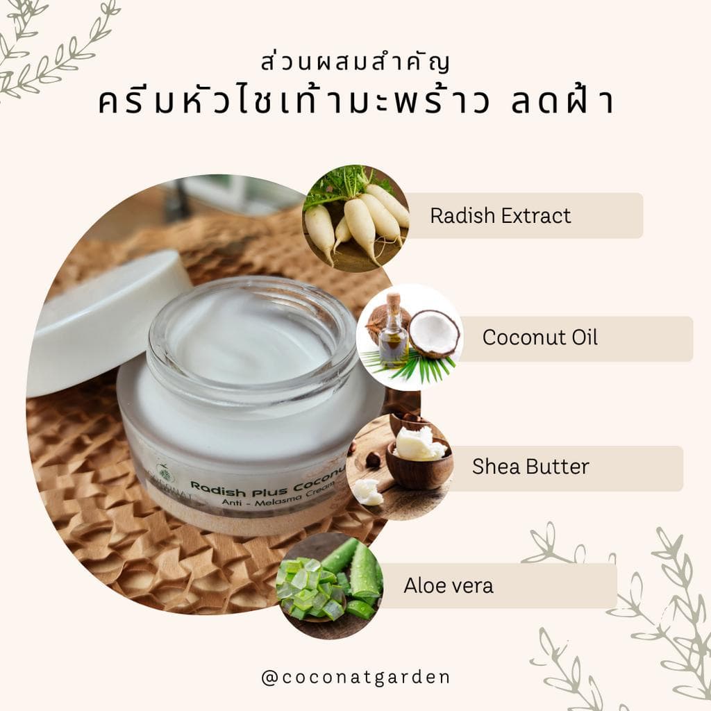 ครีมทาฝ้าจากสารสกัดหัวไชเท้ามีผลการวิจัยว่า ช่วยลดฝ้า กระ รอยสิวได้ดี ร่วมกับน้ำมันมะพร้าววิตามิน E รูปที่ 4