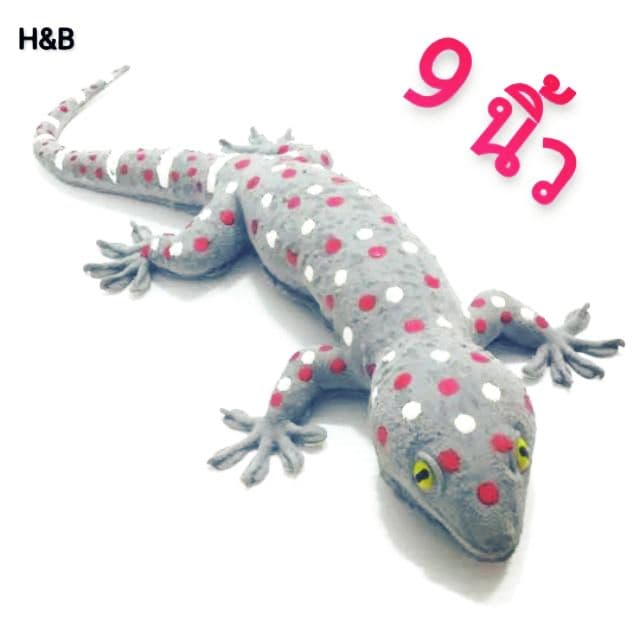 ตุ๊กแกปลอม ตุ๊กแกยาง ยางอย่างดี!! ของเล่นแกล้งคน Gecko ของตกแต่ง รูปที่ 1