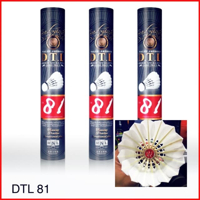 RSL DTL81 SPEED75/76 รูปที่ 2