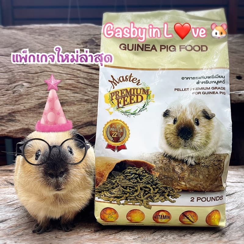 **แถมฟรี 200 กรัม** Master Premium Feed อาหารเม็ดสำหรับหนูแกสบี้ระดับพรีเมียม รูปที่ 2