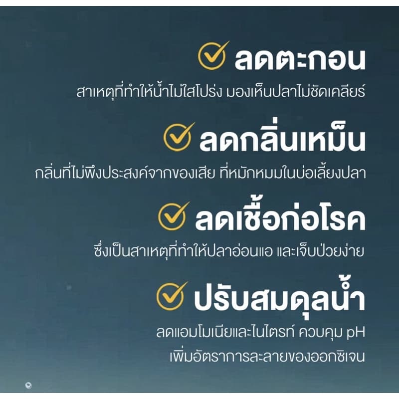 จุลินทรีย์น้ำใส บ่อปลา ตู้ปลา แบบน้ำและผง รูปที่ 5