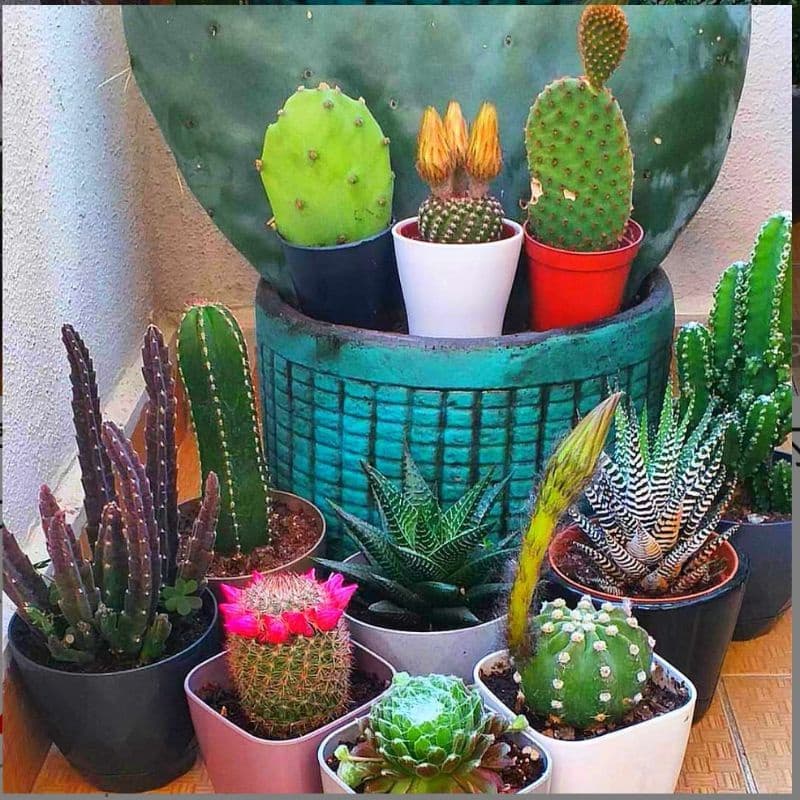 ชุดแหนบสแตนเลส 3 ชิ้น คีมคีบแหนบรุ่น DIY แหนบอิเล็กทรอนิก รูปที่ 5