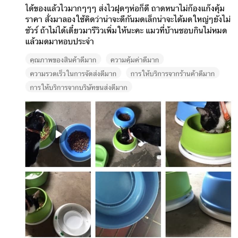 ชามอาหารสัตว์ กันมด ชามกันมด เนื้อหนา ถ้วยอาหาร กันมด กันแมลง รูปที่ 4