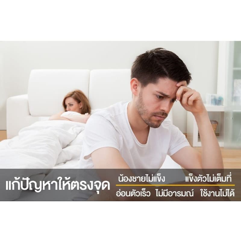 Dolphin หรือ Dolphinmore รูปที่ 2