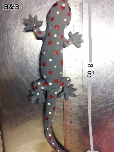 ตุ๊กแกปลอม ตุ๊กแกยาง ยางอย่างดี!! ของเล่นแกล้งคน Gecko ของตกแต่ง รูปที่ 4