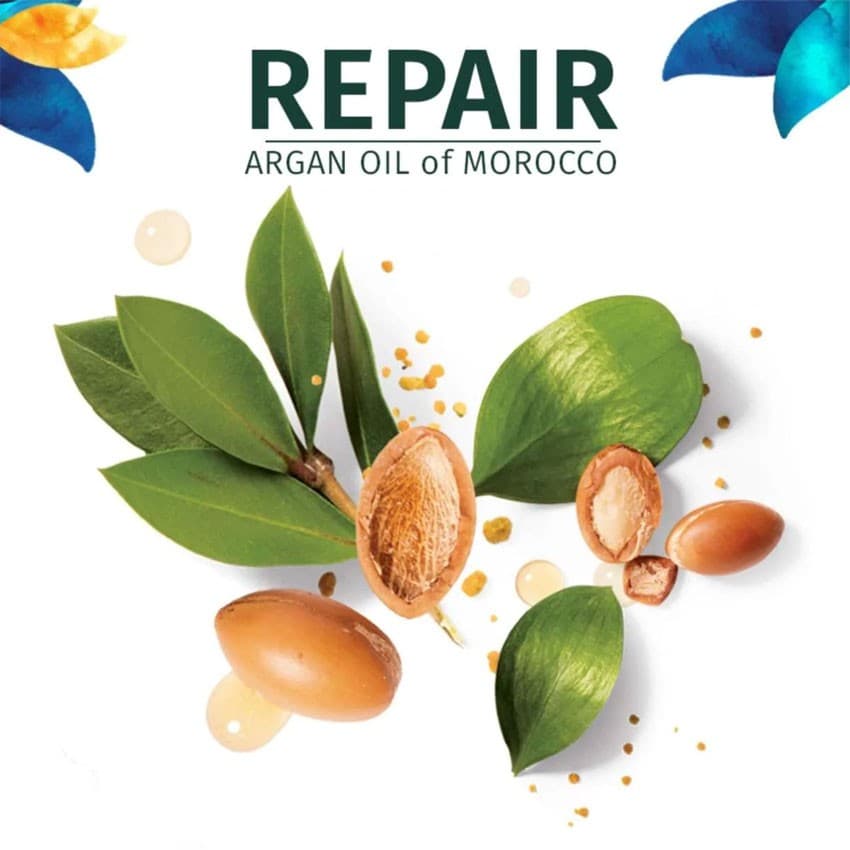 เฮอร์บัล เอสเซ้นส์ แชมพู อาร์แกนโมรอคโค 400 มล. HERBAL SHAMPOO MOROCCO ARGAN OIL 400 ML รูปที่ 6
