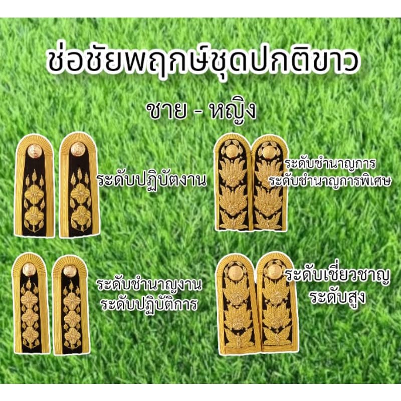 ช่อชัยพฤกษ์ชุดปกติขาว บ่าชุดขาว บ่าชุดปกติขาว รูปที่ 2