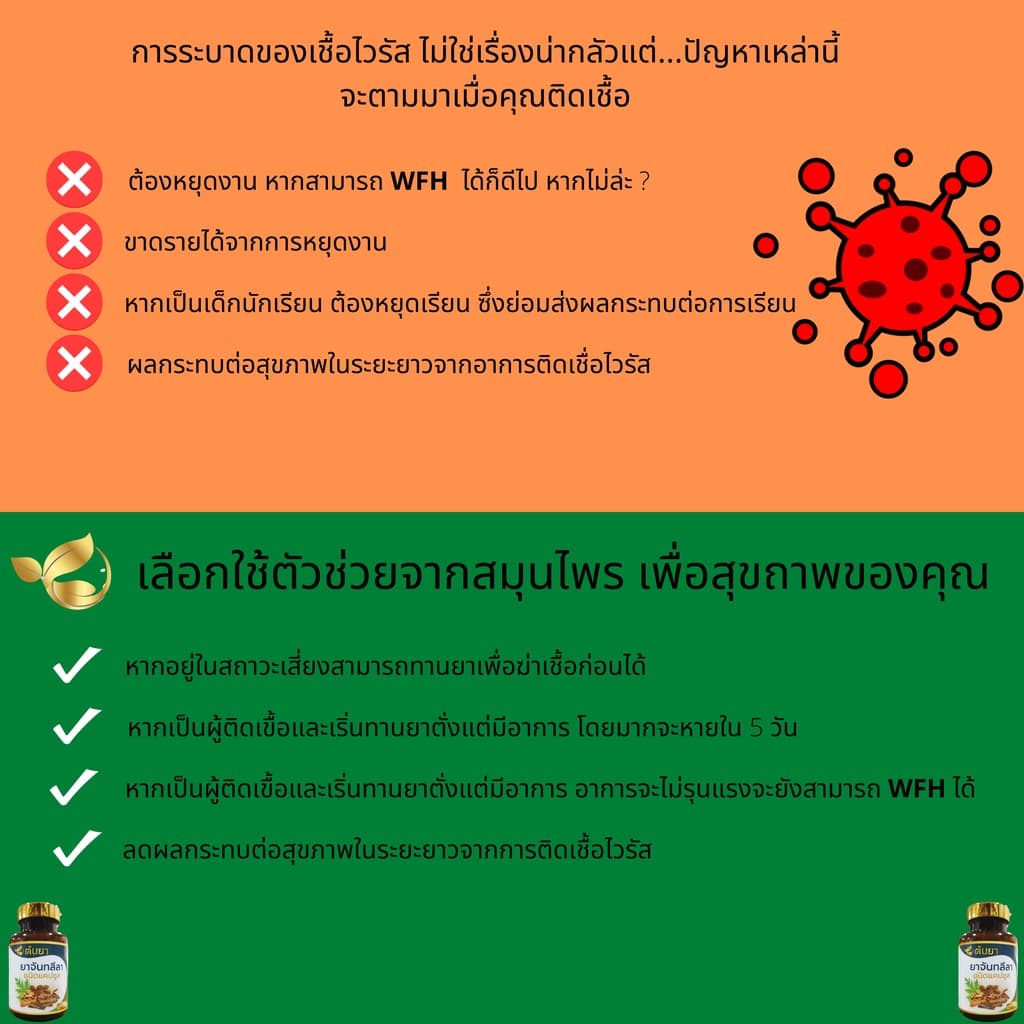 แก้ไอ ไอเรื้อรัง ละลายเสมหะ ใช้ จันทลีลา ขนาด 500mg จำนวน 60 แคปซูล รูปที่ 7