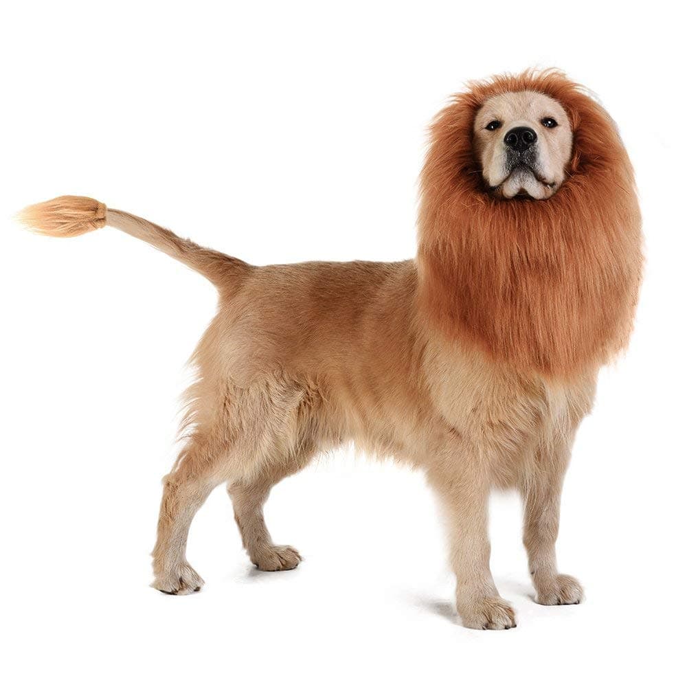 วิกผมสัตว์เลี้ยง วิกผมหมา ทรงแผงคอสิงโต สำหรับสุนัข Cat wig dog wig รูปที่ 4