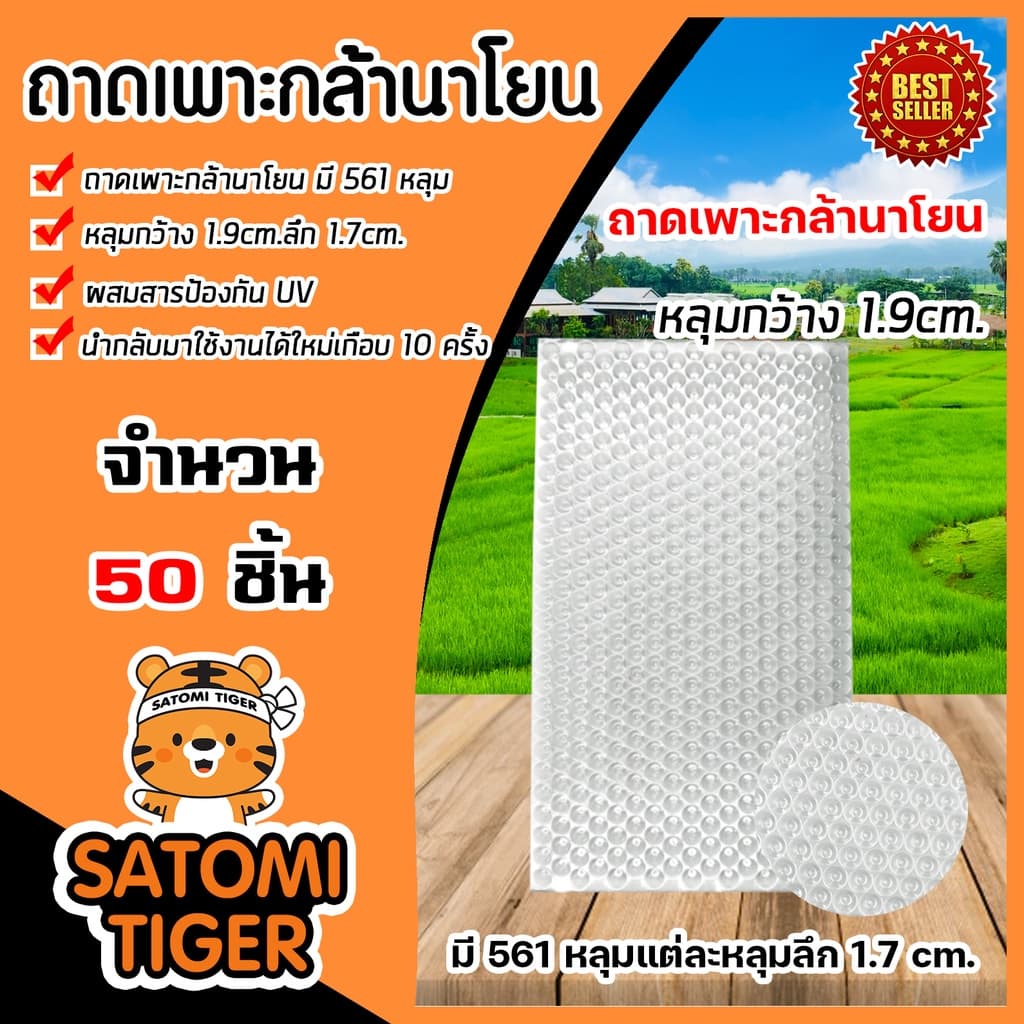 ถาดเพาะกล้านาโยน 561 หลุม จำนวน 50 ชิ้น ถาดนาโยน เพาะกล้าข้าว รูปที่ 1
